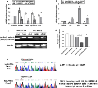 DKK1 induces opposite effects on the Wnt/beta-catenin pathway and on its target genes as a result of mutations in the <i>CTNNB1</i> gene.