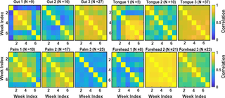 Correlation matrices reflecting microbiome dynamics at four body sites (gut, tongue, palm, and forehead) for three clusters of students identified based on the microbiome data for each of the body sites.