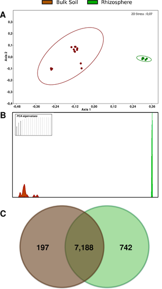 Analyses of all gene clusters present in the 19 genome sequences.