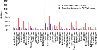 Comparison of species diversity in each fish family for both survey methods against known species in the Red Sea based on Golani and Fricke [<em class="ref">43</em>].