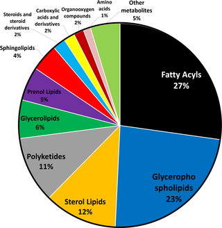 Classification of identified fruit metabolites.
