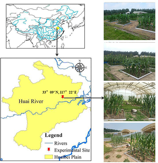 Location of the experimental site in the Huaibei Plain and conditions of the maize plots.