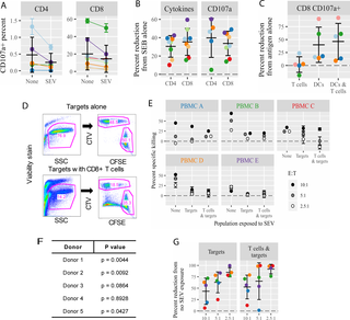 CD8+ T cells activated by SEV-exposed APCs are impaired in degranulation and killing capacity.