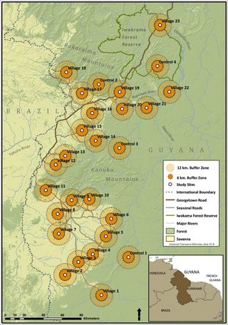 Study area in southwest Guyana study region showing village sites and non-village (marked as Control in figure) sites and the 0–12 km distance zones for transect placement (map adapted from [<em class="ref">17</em>]).