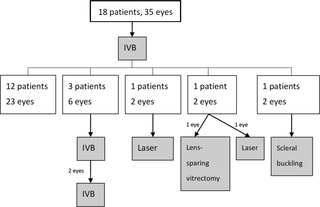 Algorithm demonstrating the structural outcomes after intravitreal bevacizumab treatment.
