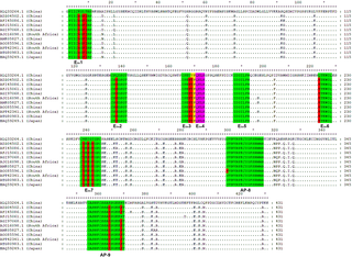 Sequence comparison between GST-Gn and 10 SFTSV strains.