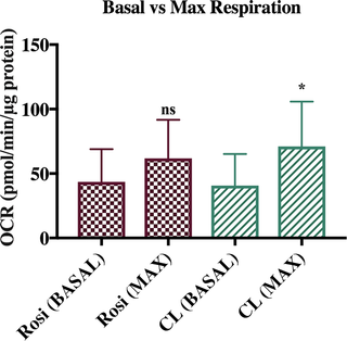 Basal vs maximal respiration in Rosiglitazone (n = 32) and CL 316, 243 (n = 34) treated cells.