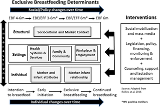 Adapted ecological model for breastfeeding determinants and interventions.