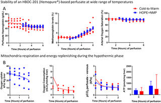 Stability of HBOC-based perfusate at different temperatures and its impact on mitochondrial function at hypothermic temperatures.