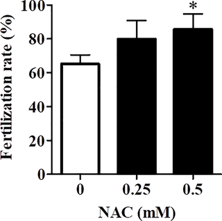 Effect of NAC on the fertilization rate of vitrified–warmed oocytes.