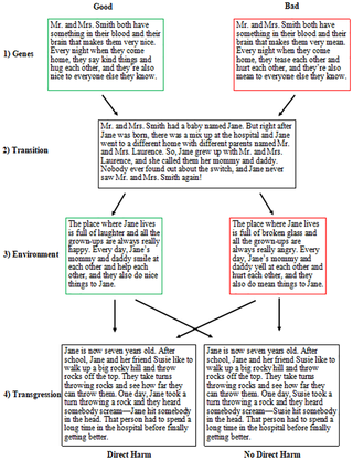 Flow chart of Study 3 switched-at-birth vignettes and condition assignment.