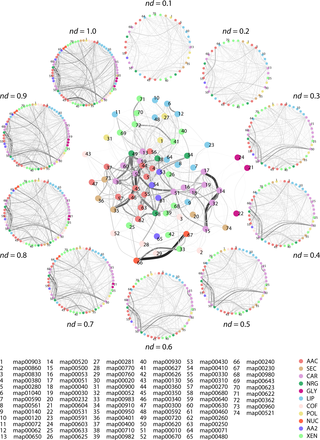 Evolution of metabolic networks visualized through the subnetwork one-mode projection of the subnetwork-enzyme bipartite network.
