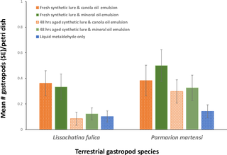 The mean number of giant African snails (<i>Lissachatina fulica</i>) and semi-slugs (<i>Parmarion martensi</i>) found in or near (15 cm) Petri dishes baited with wicks saturated with fresh or 48 h aged synthetic papaya odor lure (0.2%) combined with either mineral or canola oil and fresh liquid metaldehyde emulsion or liquid metaldehyde alone.