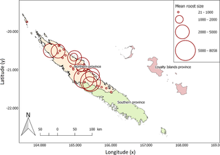 Locations of the 30 surveyed roosts of ornate and Pacific flying-foxes in the Northern Province of New Caledonia.