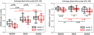 Entropy at both fast (left) and slow (right) time scale across sleep/wake states and the two recording sessions.