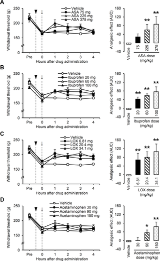Dose-dependent analgesic effects of NSAIDs and acetaminophen on muscular mechanical hyperalgesia when developed by lengthening contractions (LC).