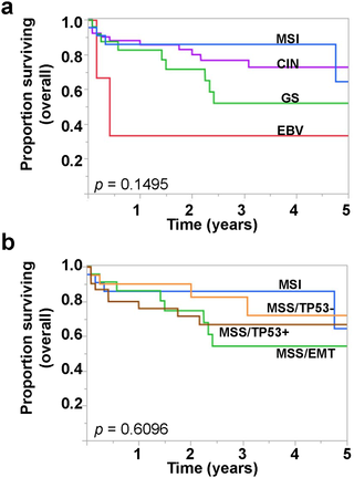 Overall survival of the SMH gastric adenocarcinoma cohort by approximated molecular subtypes.