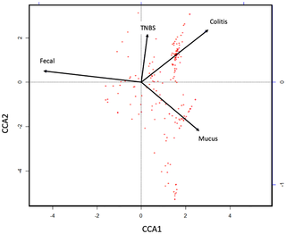 Canonical Correspondence Analysis on the relative taxon abundances reveals that colitis score is more closely associated with the mucus microbiome than the fecal microbiome.