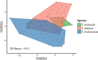 Non-metric multidimensional scaling of the spider prey composition.