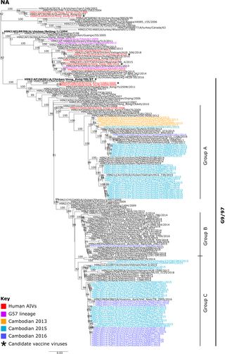 Maximum likelihood phylogenetic tree of the N2 NA gene.