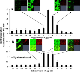 The effects of hyaluronic acid on polypyrrole-dependent biofilm formation.