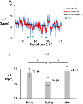 HR decreases during movies and returns to pre-movie levels afterwards.