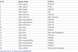 List of accessions in different <i>Piper</i> species used for cross species amplification.