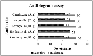 Antibiotic resistance and sensitivity of bacterial isolates against selected antibiotics.