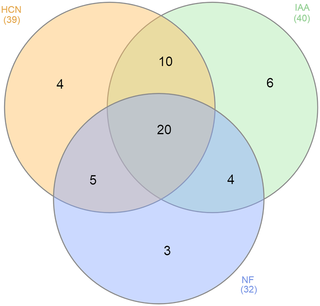 Venn diagram of presumptive NF, IAA and HCN production.