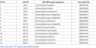 Molecular identification by 16S rRNA ribotyping and accession numbers of the selected bacterial strains.