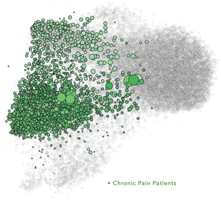 Chronic pain patients audience.