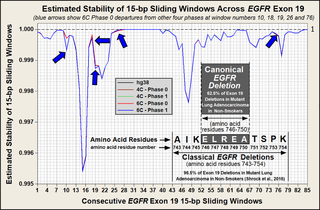 Estimated stabilities of <i>EGFR</i> exon 19 for five genomic phases with overlapping 15 bp windows.