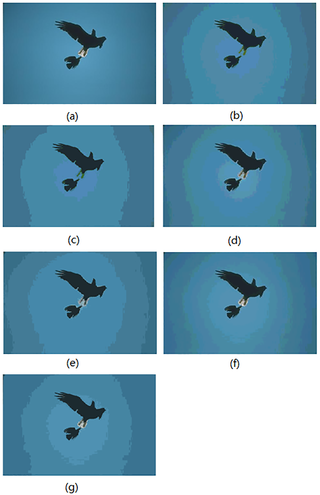 The image <i>Birds</i>: (a) original image, (b, c) initial segmented result and result after region merging based on the histon, (d, e) initial segmented result and result after region merging based on the roughness index, (f, g) initial segmented result and result after region merging based on <i>AHHT</i>.