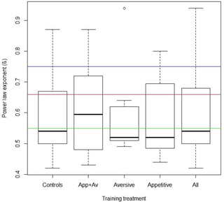 Summary boxplot statistics for the β-exponent of bees in the four conditions: control (n = 14), aversive (n = 7), appetitive (n = 12) and aversive + appetitive (n = 12 (post data filtering) and individuals from all conditions combined.