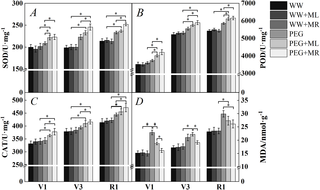 Effect of melatonin addition on the activity level of superoxide dismutase (SOD) (A), peroxidase (POD) (B), and catalase (CAT) (C) and the content of malondialdehyde (MDA) (D) under osmotic stress.