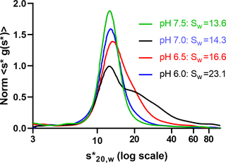 Summary of the pH-dependent oligomerization of hGALC.