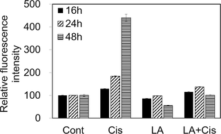 The effect of α-lipoic acid (LA) on reactive oxygen species (ROS) production in auditory cells.