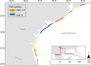 Map of Texas coastline showing hotpots of land-based sharks catches during the Texas Shark Rodeo, 2014–2018.