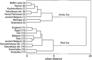 Agglomeration of the recent and fossil populations of the arctic and red foxes constructed by the Ward method and Manhattan distances using the percentage shares of the morphotypes of the first lower molar.