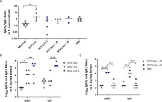 Th1/Th2 immune response balance of mice immunized with the live-attenuated double mutant SCV (Δ<i>vraG</i>Δ<i>hemB</i>) or inactivated bacteria.
