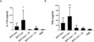 <i>S</i>. <i>aureus</i>-specific IL-17A and IFN-γ responses elicited by splenocyte proliferation of immunized mice.