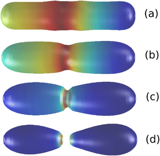 Dynamics of the simulated liposome membrane under area conservation conditions, showing the whole process from the onset of constriction (plots (a) and (b)) to eventual pinching and division (plots (c) and (d)) leading to L-form formation.