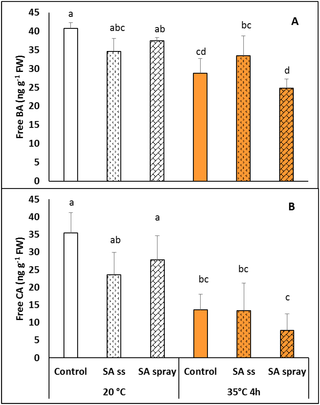 Benzoic (A) and cinnamic (B) acid levels in plants grown from seeds soaked in distilled water (DW) or NaSA seed-soaked (SS) or sprayed with 0.5 mM NaSA, and before (20°C) and after 4 h heat treatment at 35°C.