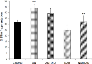 Pretreatment of naringenin prevented % DNA fragmentation in AD-like animal model.