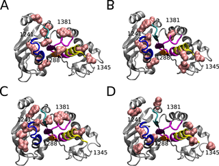 Predicted stabilizing mutations to restore residue coupling in NBD2.