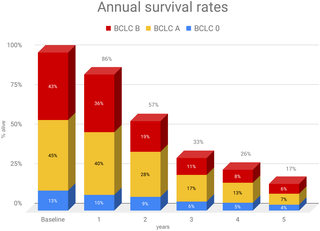 Histogram of annual survival stratified for the BCLC stage of patients.