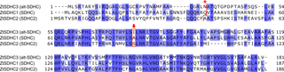<i>Z</i>. <i>tritici</i> SDHC proteins alignment.