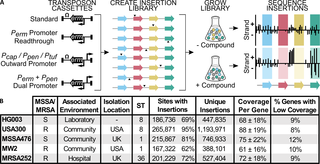 We created complex transposon libraries of similar coverage in five diverse S. aureus strains.