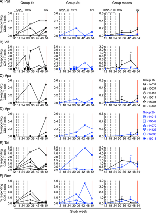 Kinetics of vaccine-induced CD8+ T-cell responses against Pol, Vif, Vpx, Vpr, Tat, and Rev.
