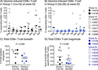 Total magnitude and breadth of vaccine-induced SIV-specific CD8+ T-cell responses at the time of SIV challenge.